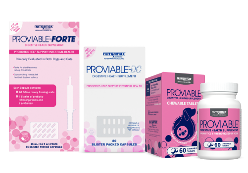 Proviable® Multi-Strain Probiotics for Cats and Dogs